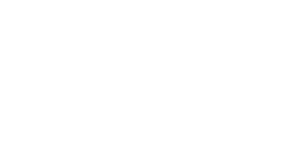 Adobe Solution Partner GOLD SPECIALIZATION